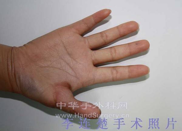 照片 062a.jpg