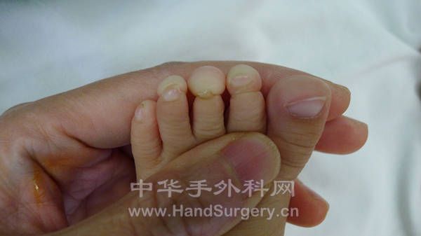 P1020878_副本.jpg
