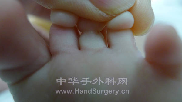 P1020880_副本.jpg
