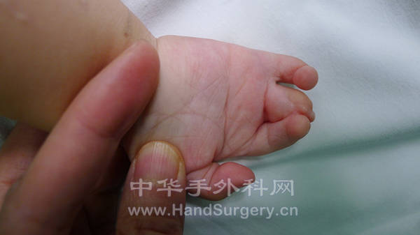 P1020882_副本.jpg