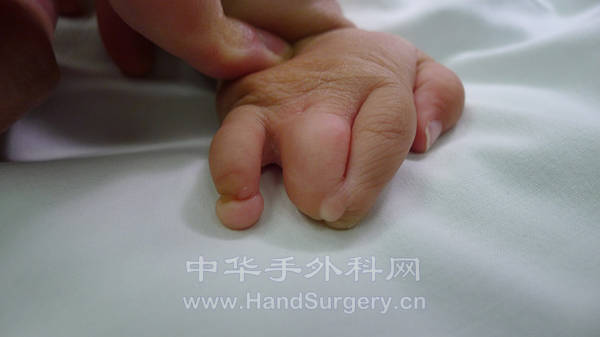 P1020886_副本.jpg