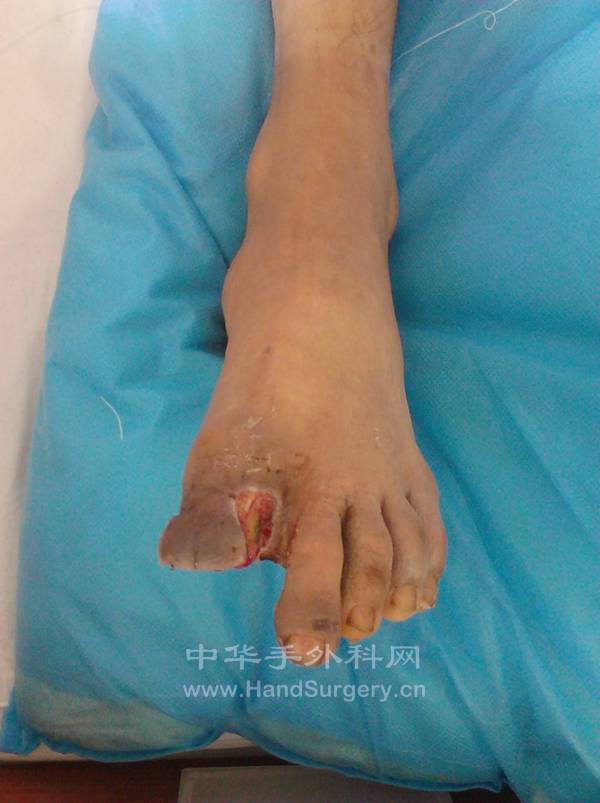 IMG_20120620_103526.jpg