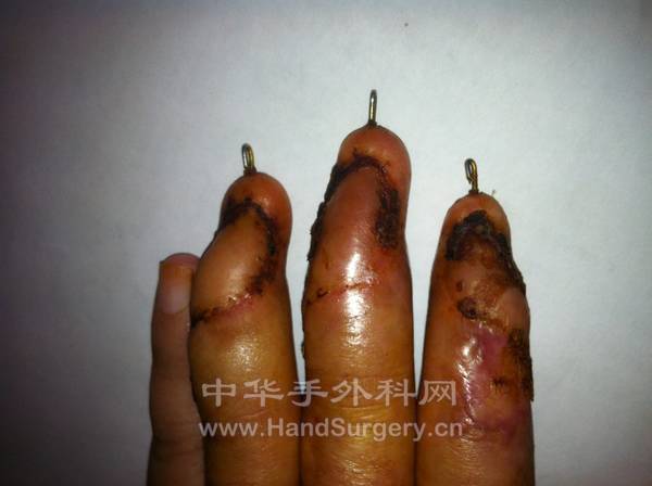 照片 040.jpg