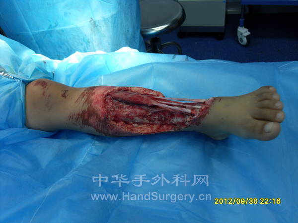 SDC13055.JPG
