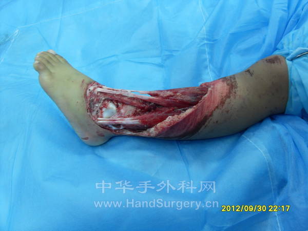 SDC13057.JPG