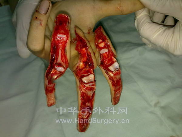 20110330125.jpg