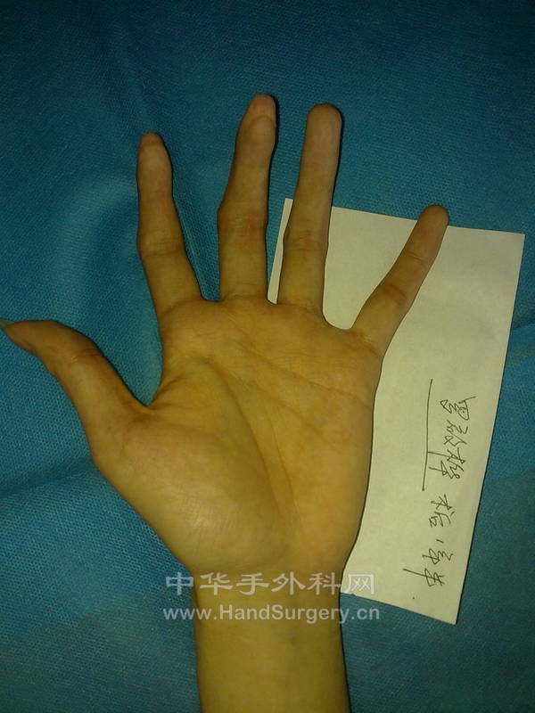 20121010587.jpg