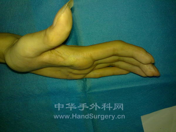 20121010589.jpg