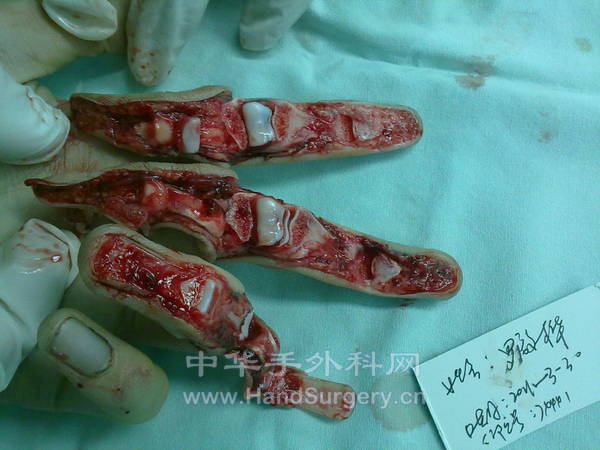 20110330127.jpg