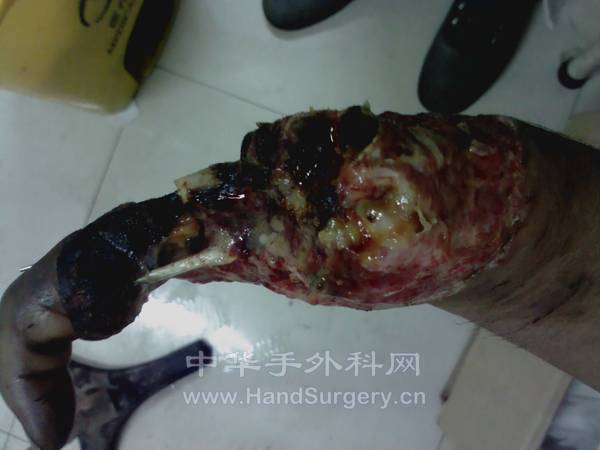 IMG_20121012_112035.jpg