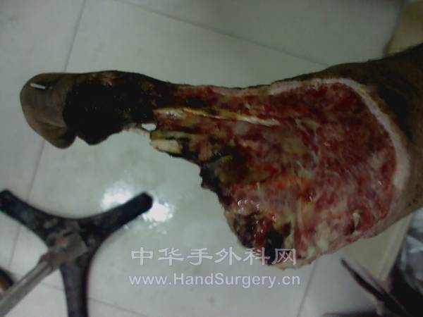 IMG_20121012_112123.jpg