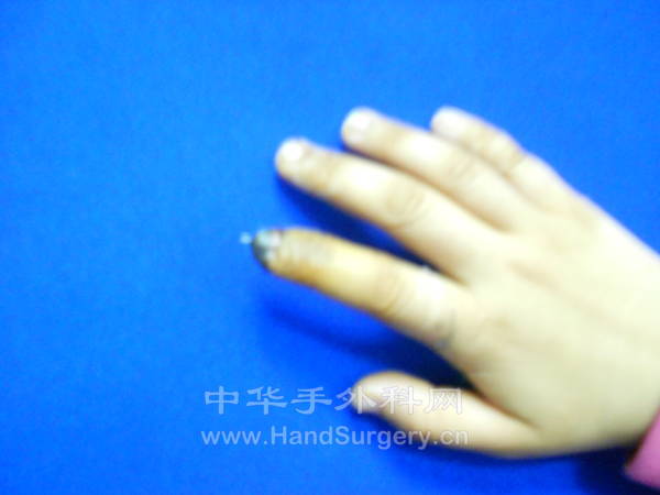 DSCN2124.JPG