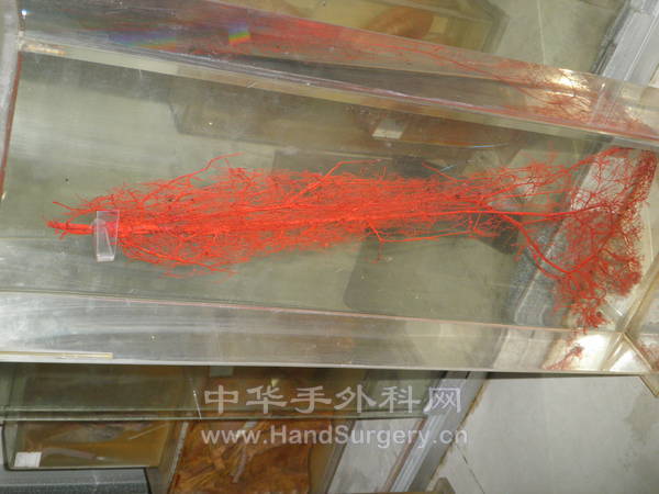 PA130009.JPG