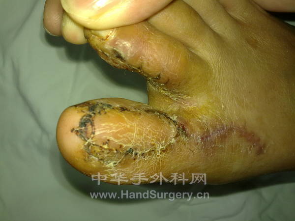 20121017615.jpg