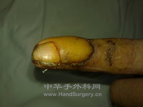 20121017616.jpg