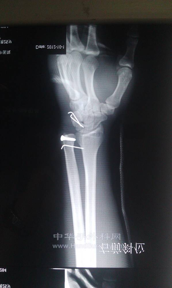 IMAG0352.jpg