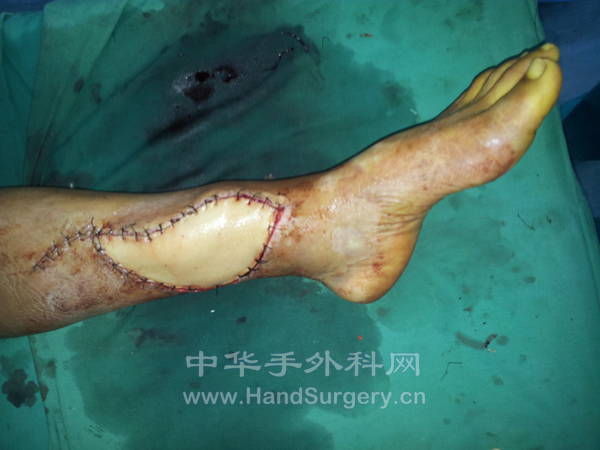 20121010_124718.jpg