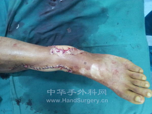 20121010_124726.jpg