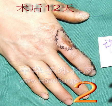 DSCF2468.jpg