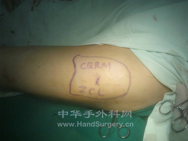 2012-10-10 17.31.59.jpg