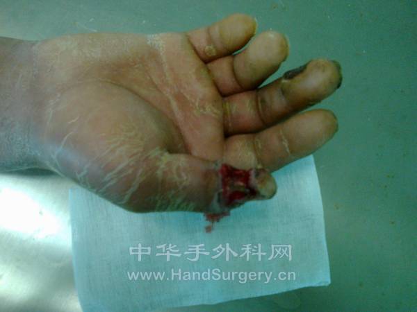 20120820303.jpg