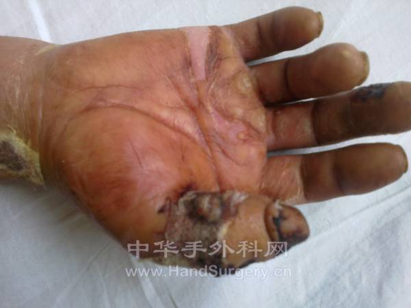 20120827307.jpg