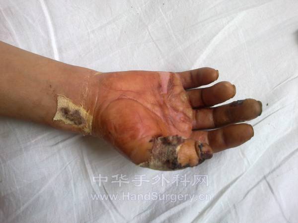 20120827308.jpg