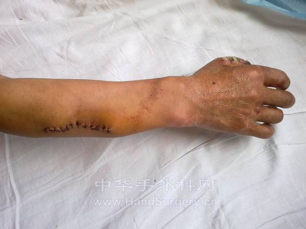 20120827309.jpg