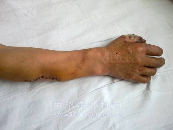 20120827310.jpg