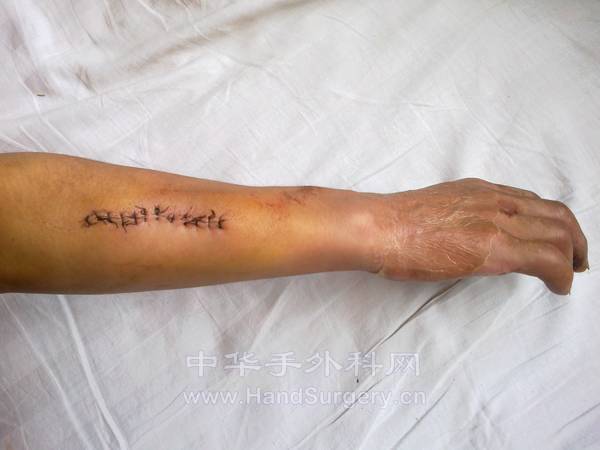 20120827311.jpg