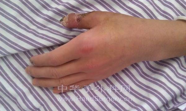 IMAG0310.jpg