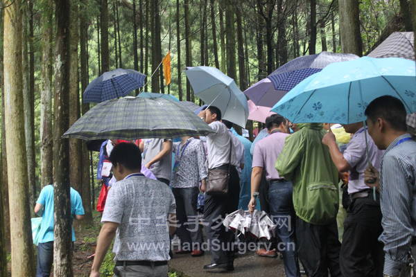 冒雨出游
