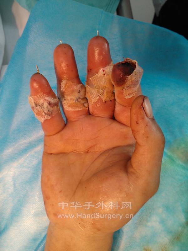 IMG20121001154610.jpg