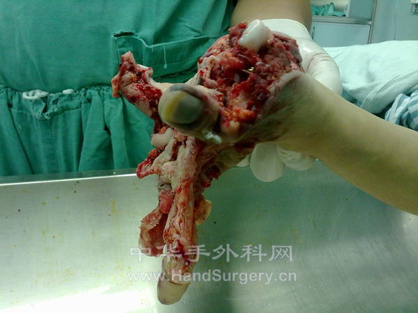20120831178.jpg