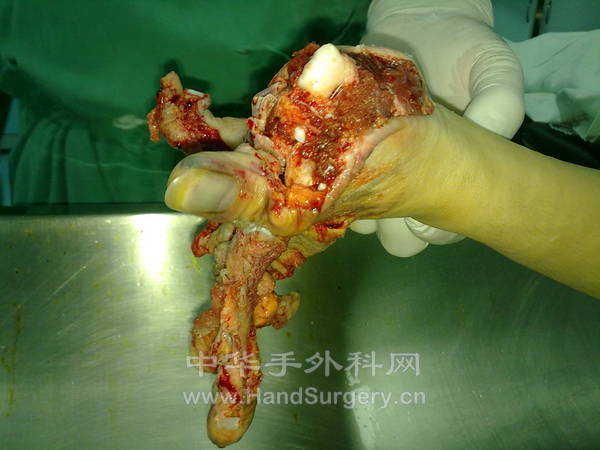 20120831179.jpg