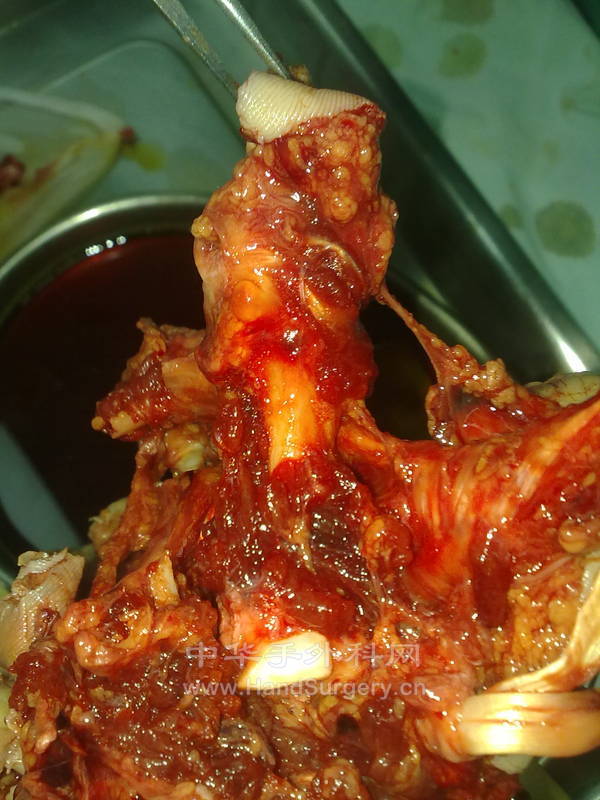 20120831195.jpg