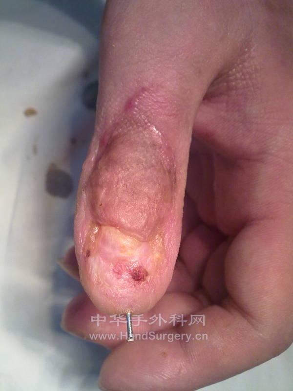 20121030797.jpg