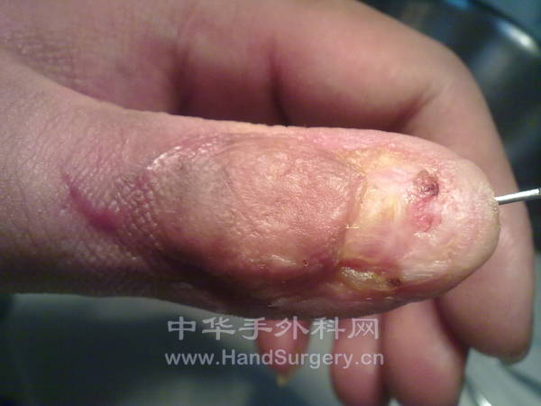 20121030800.jpg