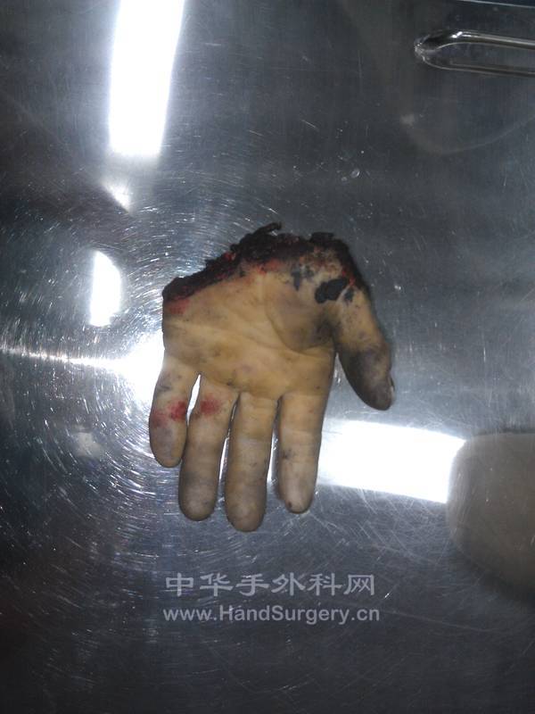 IMAG0571.jpg