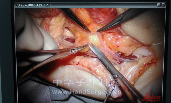 2012-11-10 11.42.17.jpg