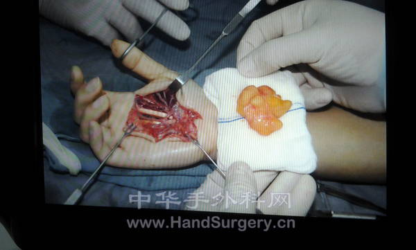 2012-11-10 13.50.13.jpg