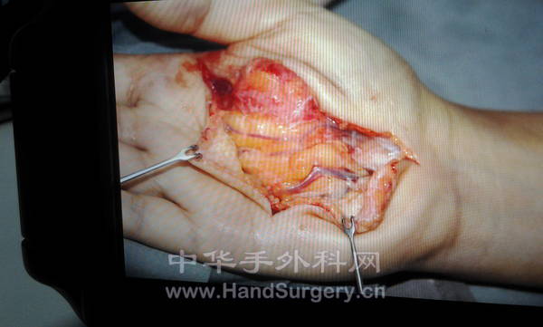 2012-11-10 13.51.00.jpg