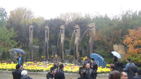 DSC00570.JPG