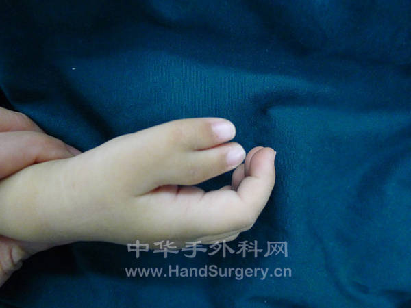 P1040159_副本.jpg