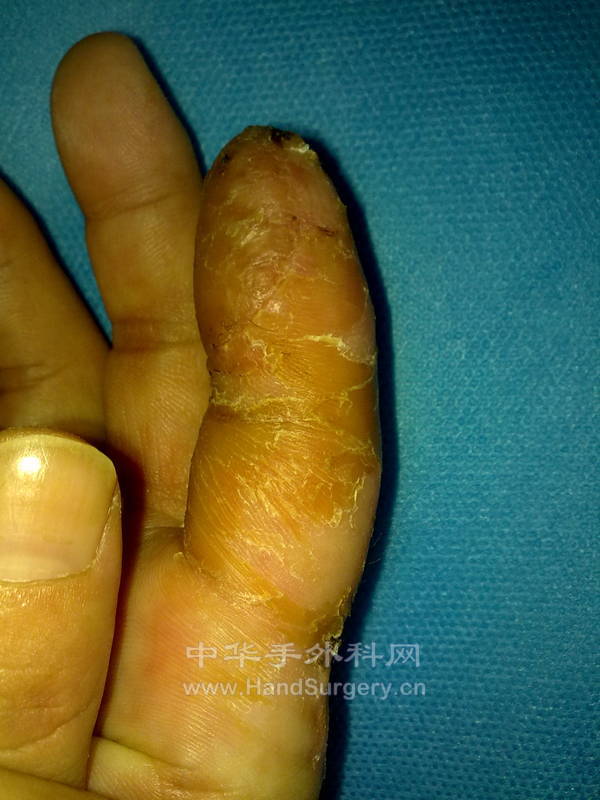 20121023686.jpg