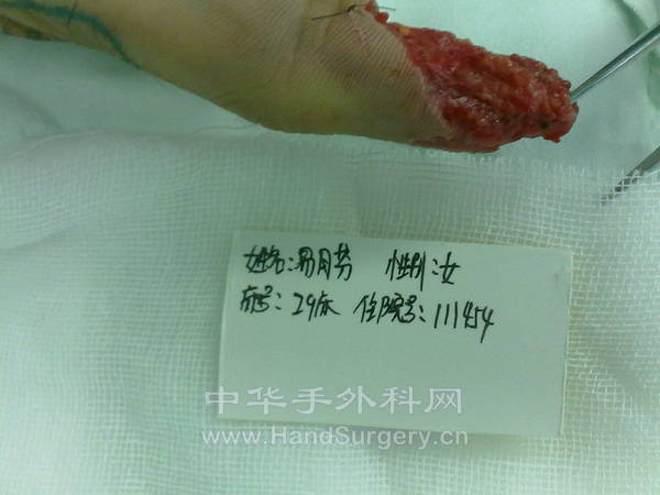 20120904274.jpg