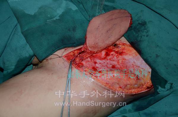 DSC_3921_conew1.jpg