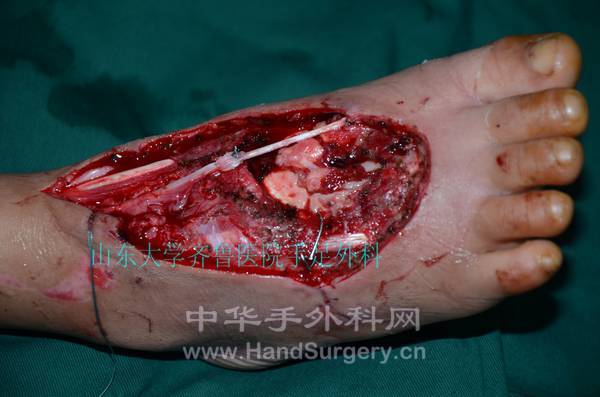 DSC_3937_conew1.jpg