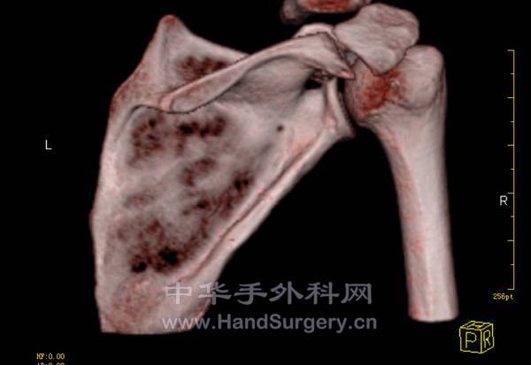 QQ截图20121027184925.png