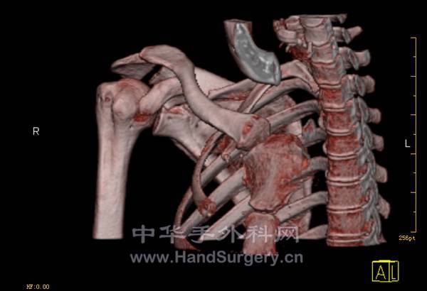 QQ截图20121027185011.png